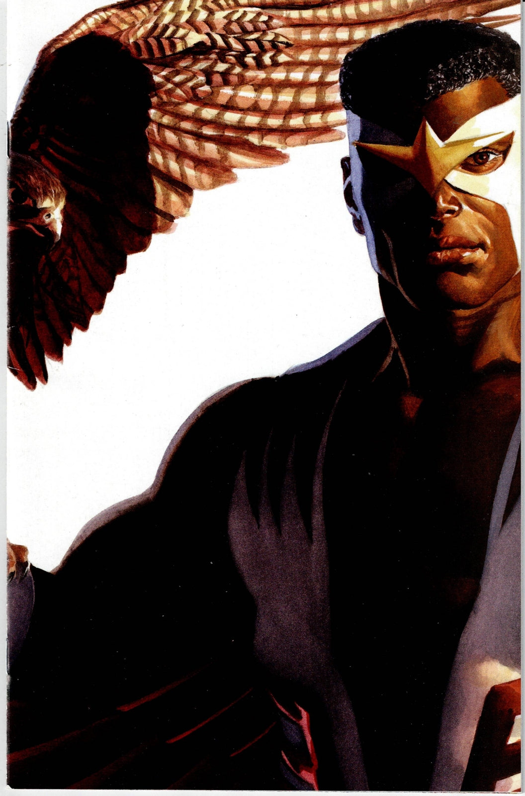 CAPTAIN AMERICA (9TH SERIES) #24 FN/VF Alex Ross Timeless FALCON Virgin Variant