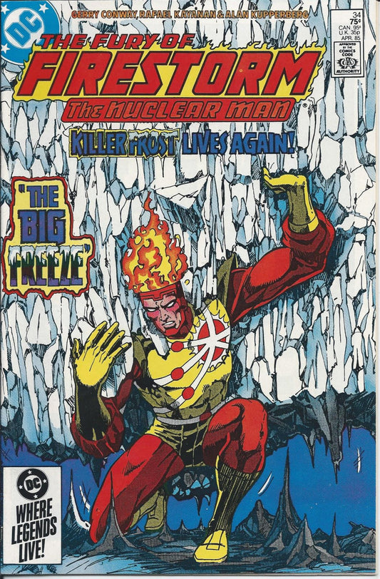 THE FURY OF FIRESTORM #34 NM