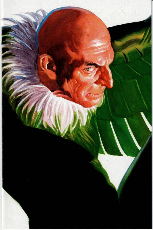 AMAZING SPIDER-MAN (6TH SERIES) #24 NM Alex Ross Timeless VULTURE Virgin Variant